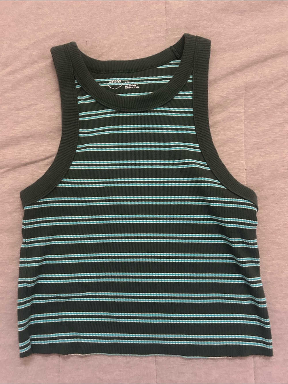 Aerie Green & Teal Striped Ribbed Tank Top